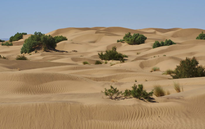 deserto marruecos Maroc Challenge